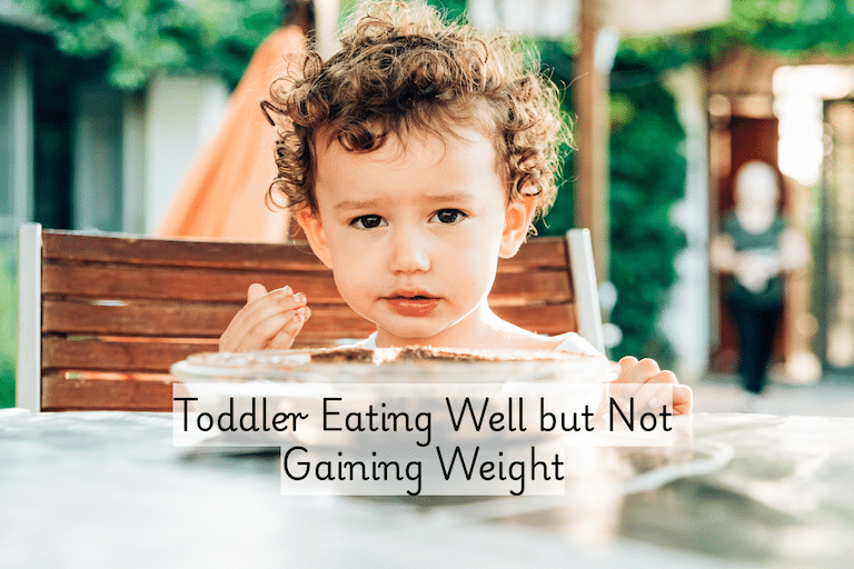 Toddler eating well but not gain weight